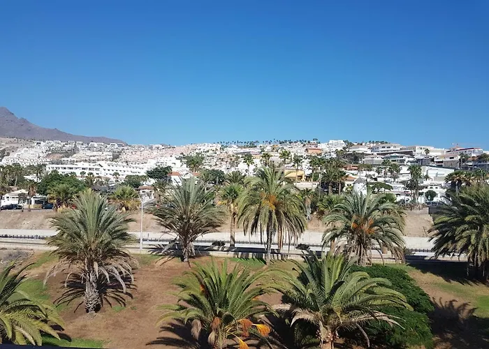 Palmeras Del Sur Juan Playa de las Américas
