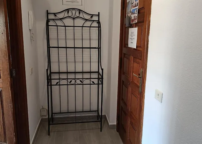 Palmeras Del Sur Juan * 美洲海滩